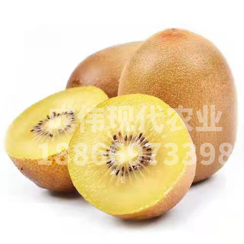 ⨺