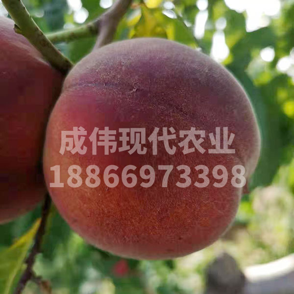֮ë