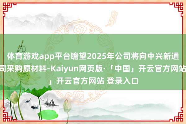 体育游戏app平台瞻望2025年公司将向中兴新通信有限公司采购原材料-Kaiyun网页版·「中国」开云官方网站 登录入口
