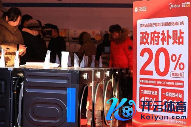2024年12月21日，江苏省淮安市，市民在汽车家电家居迎新惠民集市购物耗尽。 视觉中国 图