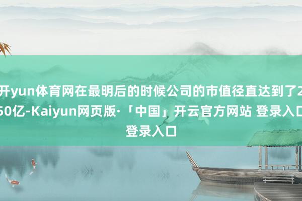 开yun体育网在最明后的时候公司的市值径直达到了250亿-Kaiyun网页版·「中国」开云官方网站 登录入口