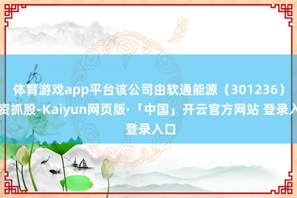 体育游戏app平台该公司由软通能源(301236)全资抓股-Kaiyun网页版·「中国」开云官方网站 登录入口